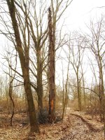 DSCN3305.JPG
