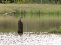 12 Oct 08 141 (Small).jpg