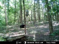 Game Camera 113.jpg