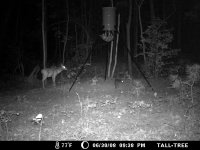 Game Camera 100.jpg