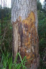 Lake Marabou 147 (Small).jpg