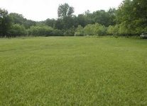 8-133405-landresize.jpg