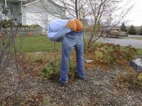 498436-happyfall2.jpg