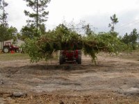 408500-Brush Forks loaded.JPG