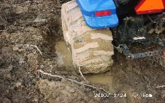 239047-left rears.JPG