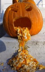 331110-pumpkin.jpg