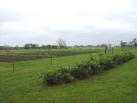 8-134612-P4160002.JPG