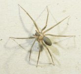 331335-2061_2.jpg