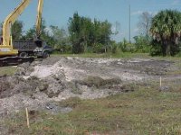 331438-pond-day3-05.JPG