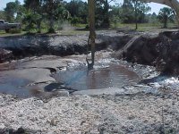 331883-pond-day4-09.JPG