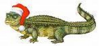 331884-holiday lizard.jpg
