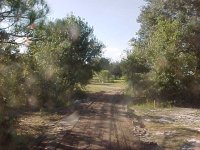 331894-pond-day4-22.JPG