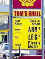 239488-shell.jpg