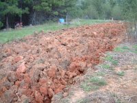 5-135637-gardenplowed.jpg