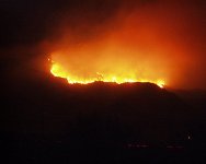 288637-9.jpg