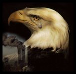 6-69702-eagle.jpg