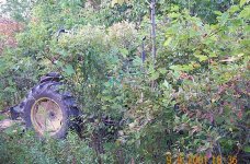 34-71139-JDbrushhigherthantractor.jpg