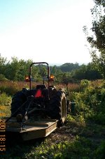 33-69872-JDbrushhogviewCatskillMts.jpg