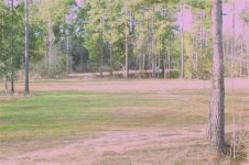 Deer Blind 144 (Small).jpg