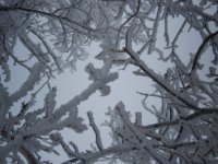 281208_101.JPG