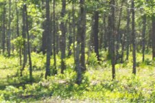 100_0376.jpg