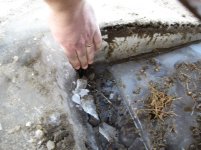 Bucket Thaw 005.jpg