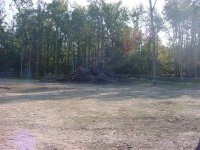 Pile almost gone.jpg