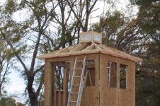 Deer Blind 105 (Small).jpg