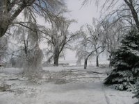 12-1-06  ice storm 045.jpg