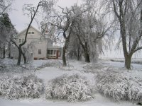 12-1-06  ice storm 048.jpg