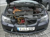 Deer at 140 mph 1.jpg