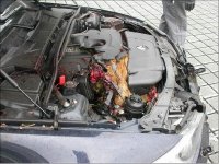 Deer at 140 mph 2.jpg