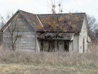 Arborist-1.jpg