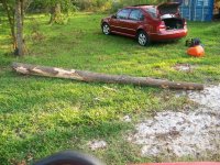 10-11-08 Cedar log from Josephine's neighbor debris pile.jpg