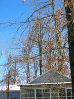DSCN5163.jpg