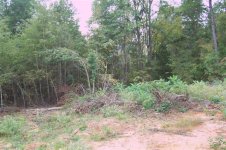 Deer Blind 002 (Small).jpg