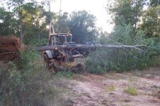 Deer Blind 009 (Small).jpg