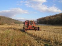 Combining soybeans on Nov 28.jpg