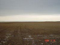 DSC03108.JPG