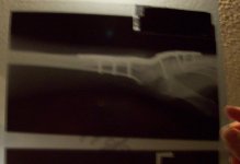 Picture%20106a.jpg