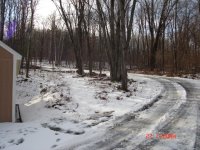 driveway 11:08.JPG