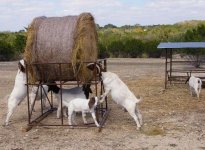 hay rack 3.jpg