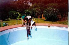 pool painting on the cheap.jpg