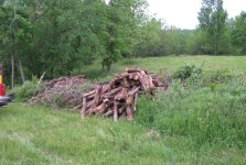 Brush 5.JPG