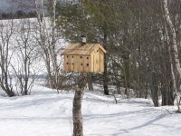 bird house.jpg