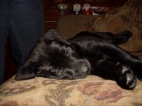 Mya 013.jpg