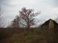 DSCN0229.JPG
