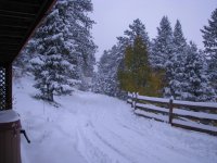 IMG_0773_small.JPG