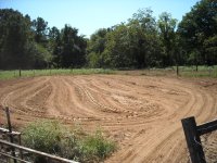 plots (2).JPG