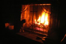 bonita and fireplace.JPG